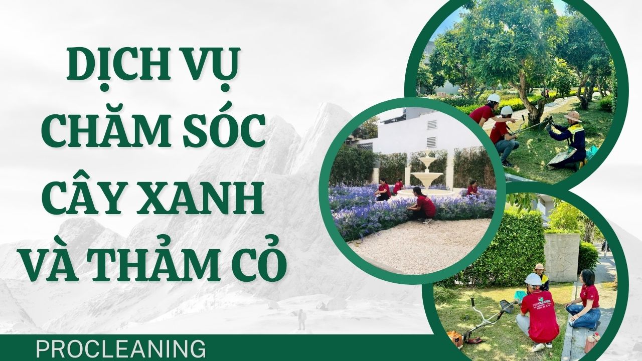 dịch-vụ-chăm-sóc-cây-xanh-và-thảm-cỏ-procleaning