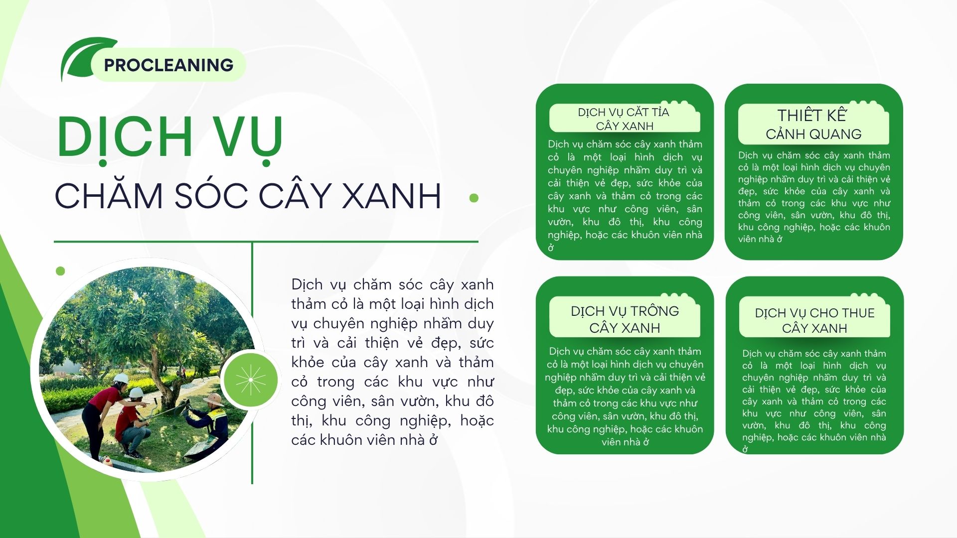 dịch-vụ-chăm-sóc-cắt-tỉa-cây-xanh